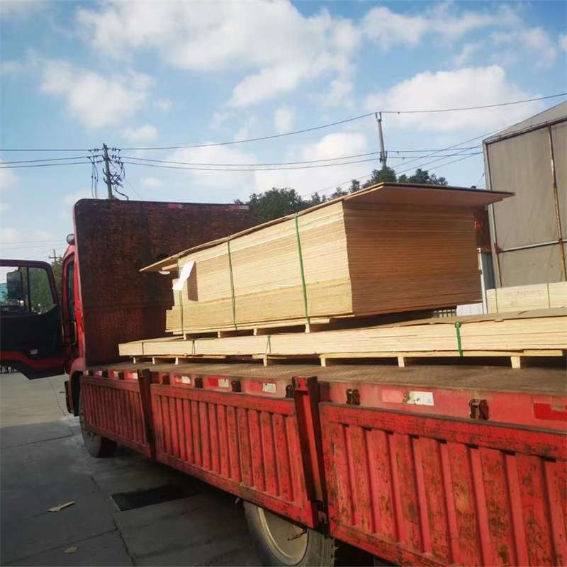 河南周口沈丘县至塔城货运专线，一站式物流服务助您成功